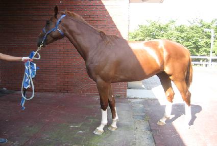 ��Ʈ ����