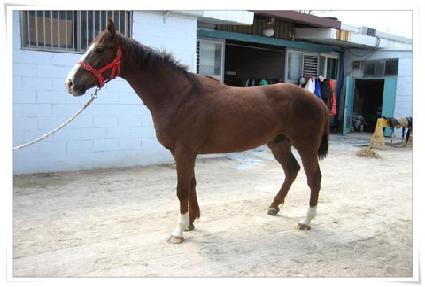 �������� ����