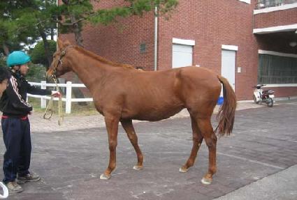 �����ݴ� ����