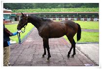 ����Ʈ���� (BEST DAY) ����