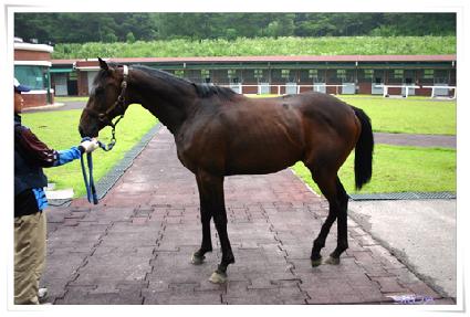 ����Ʈ���� ����