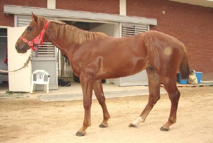 õ������ ����