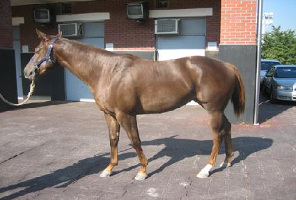 Ž���� ����