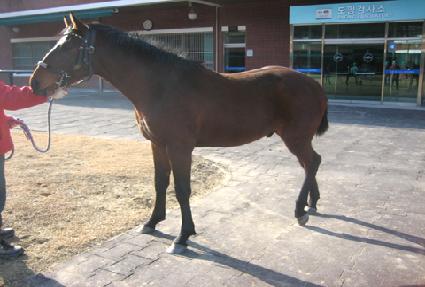 ���ߺ��� ����