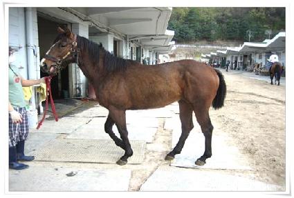 �˸��ٹ� ����