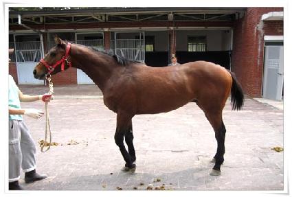 õ���Ǻ� ����