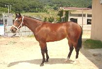 �¸����� (SEUNGNI YECHAN) ����