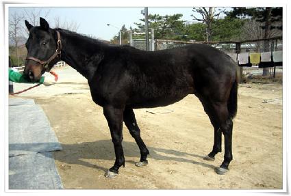 ���������� ����