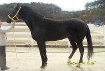 �ƻ��� (ASSAI) ����