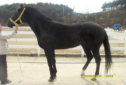 �ƻ��� ����