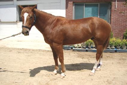 ������ ����