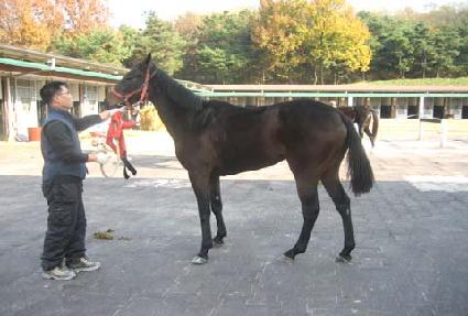 ���̵����� ����