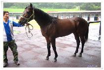 ��õ���� (GWACHEON JUNJOK) ����