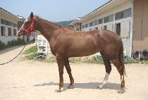 NAMHAE YEOWANG picture