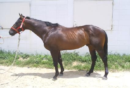 ��ΰ�ȣ ����