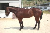 ���ο����� (SAEROUN JEWANG) ����