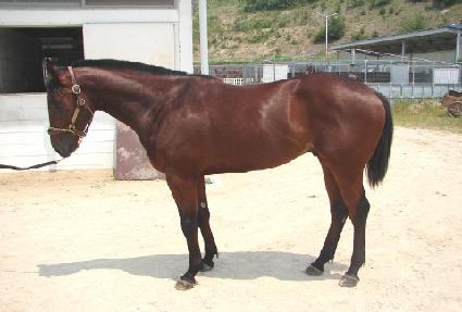 ���ο����� ����