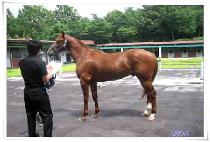 �ʼ��뼺 (CHOSEOK DAESEONG) ����