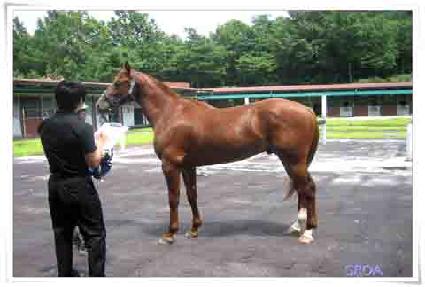 �ʼ��뼺 ����