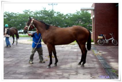 ������ ����