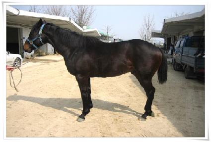 ������� ����