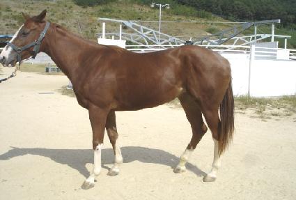 ������� ����