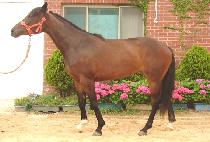 �������� (HAENGUN DAECHUKJE) ����