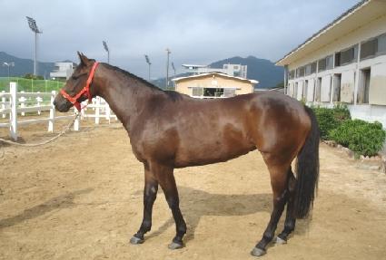 ������ ����