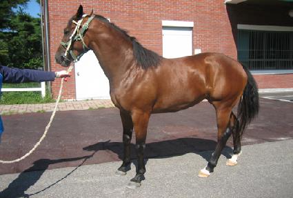 ���� ����