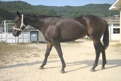 ����Ű��ȭ ����