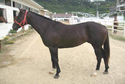 ��Ʈ�� ����