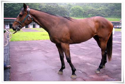 �극�̺�� ����