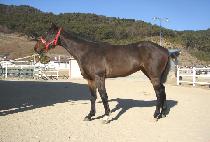 ����ī���� (MAGIC KAISER) ����