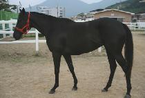 ��������� (ONCE AGAIN) ����