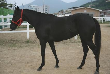 ��������� ����