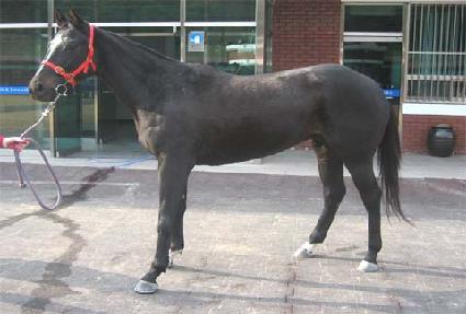 �ź��� ����