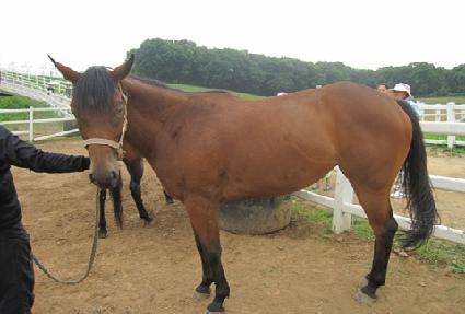 ���̴��� ����