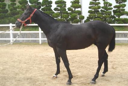 �系����� ����