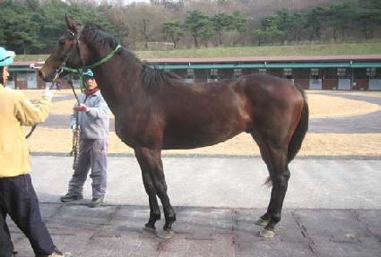 �ν��к� ����