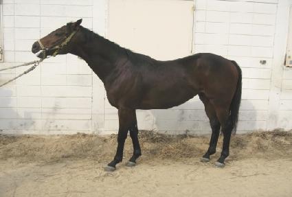 ���̿��� ����