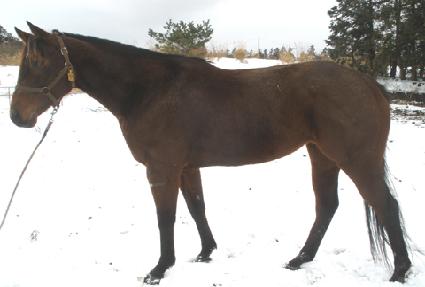 �������� ����