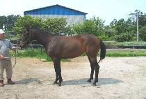 ��ũ�븮 (DARK VALLEY) ����