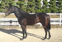 �������� (HAPPY FOR YOU) ����