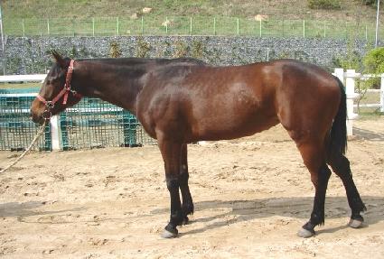 �Ҳ�ȭ�� ����