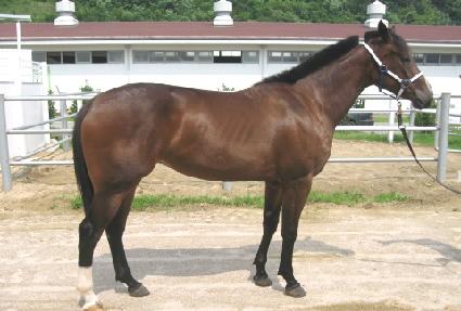 �μ���Ʈ ����