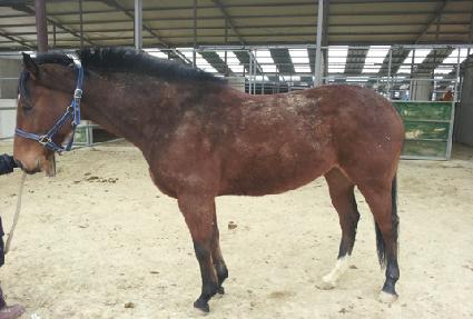 ����õ�� ����