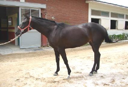 ȭ���ѿ�ǳ ����