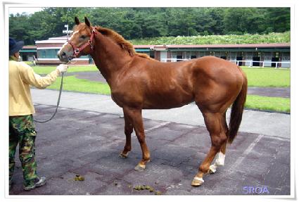 ��̺���Ʈ ����