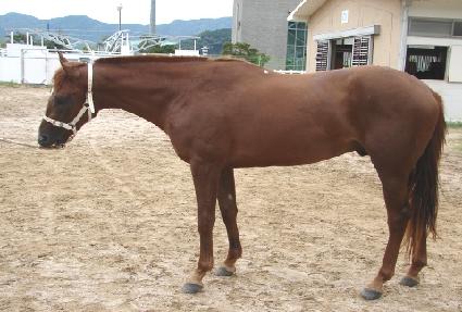 �������� ����