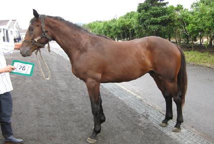 ���ǾƵ� ����